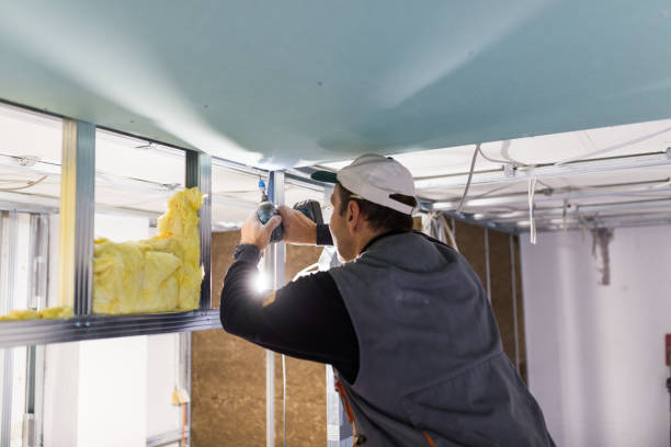 Best Crawl Space Insulation  in American Fork, UT